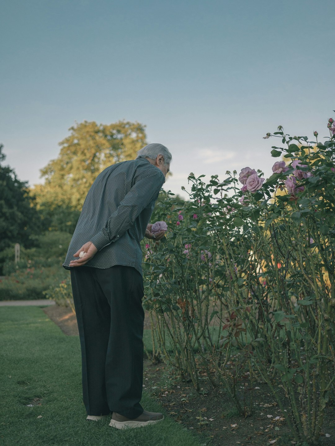 senior man reading book in garden